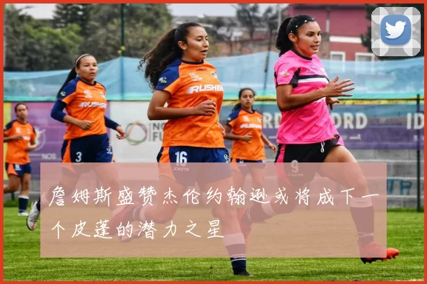 詹姆斯盛赞杰伦约翰逊或将成下一个皮蓬的潜力之星
